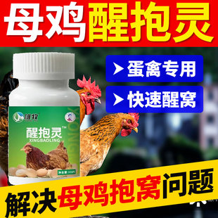 雄牧母鸡醒抱灵正品鸡鸭鹅鸽蛋禽养鸡抱窝不下蛋鸡快速醒窝专用药