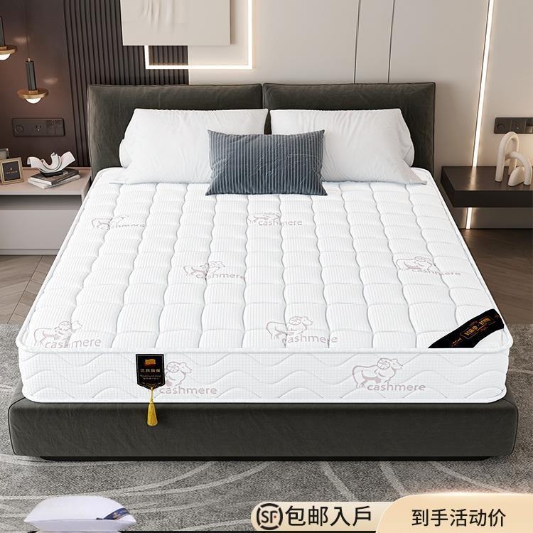 席梦思床垫家用卧室乳胶软垫20cm厚硬椰棕1.5米租房专用弹簧床垫