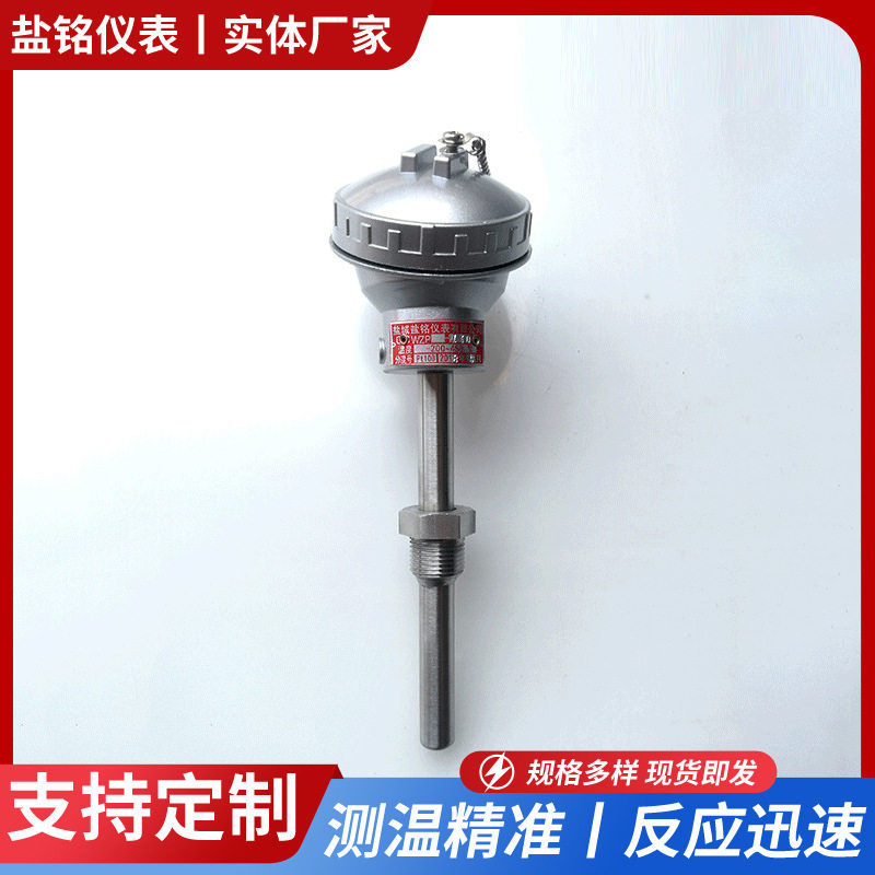 搅拌站PT100热电阻六线四线铠装