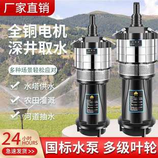QD多级潜水泵家用220V油侵泵深井泵380V高扬程小老鼠大流量抽水泵