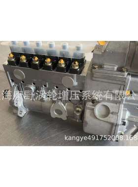 适道依茨喷油泵1305174712X8和130261291253和120K41000317833