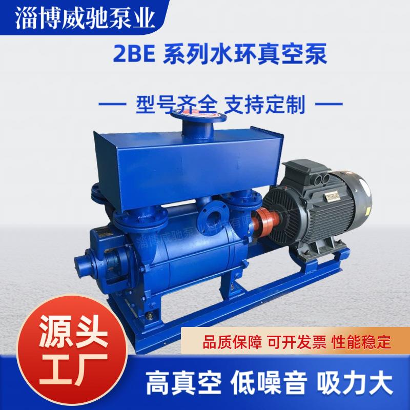 2BE水环式真空泵大型工业用耐腐蚀水环真空泵压缩机2BEA/2BEC系列