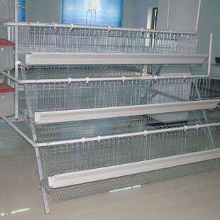 阶梯式6层鸡笼养殖场专用鸡笼子4位铁丝笼家用鸡笼养鸡设备组合