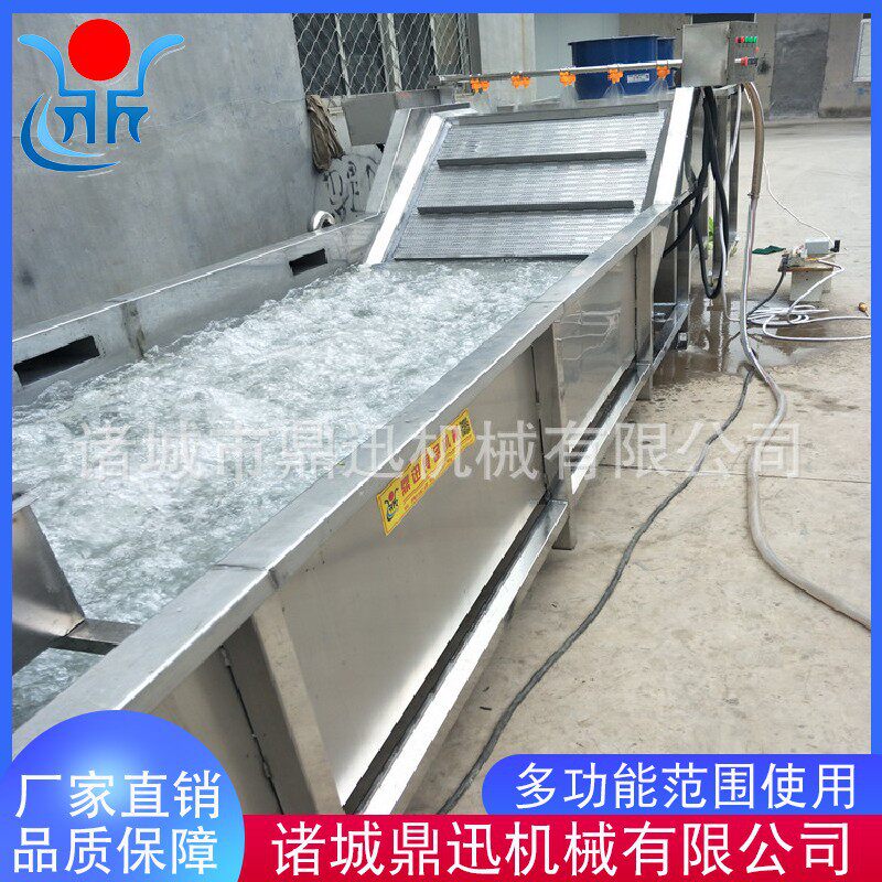 全自动果蔬清洗机气泡洗菜机304不锈钢净菜加工清洗设备