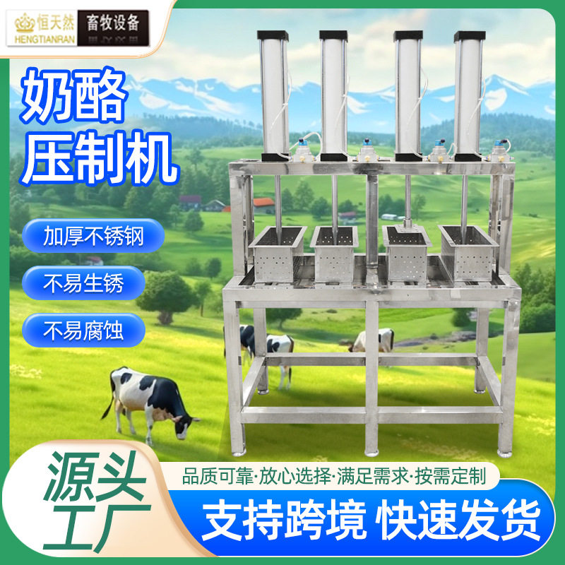 奶酪压制机跨境不锈钢小型奶酪奶豆腐驼奶条压制加工成型设备
