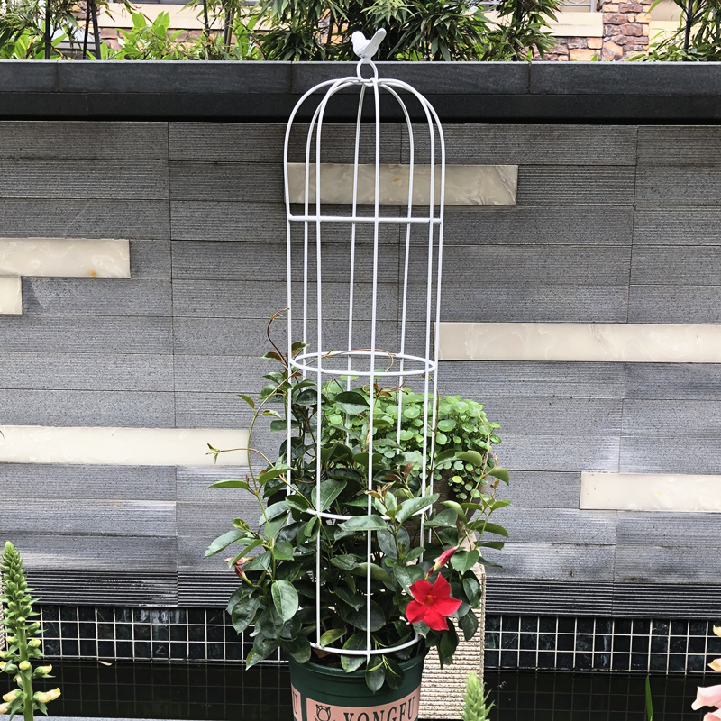 园艺玫瑰月季花架铁线莲爬藤架子花盆支架杆植物攀爬架小鸟笼铁艺