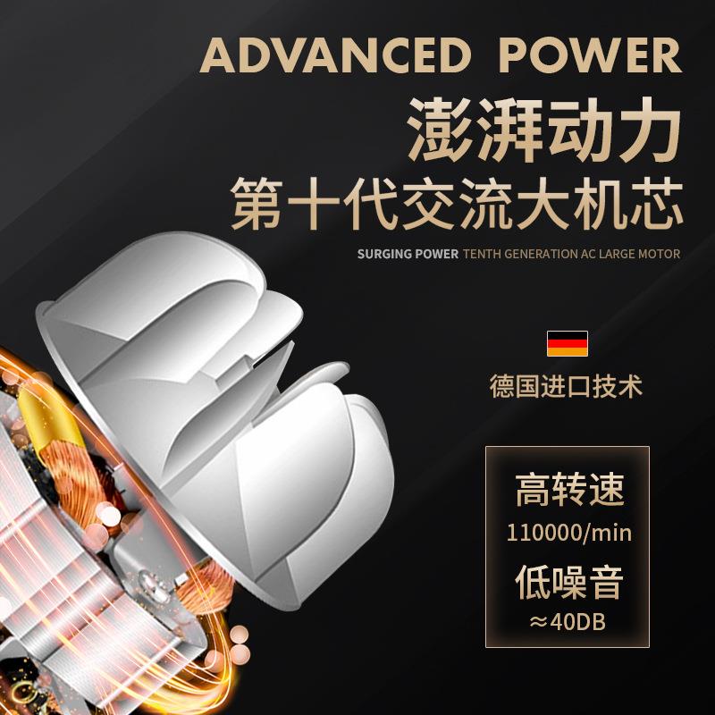 德国电吹风机大功率发廊专用理发店3000w速干护发家用负离子静音
