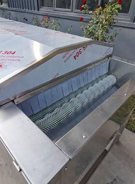 全NVQ自动柑沃连续式平行辊清洗毛机海鲜贝壳刷清洗去泥沙清洗毛