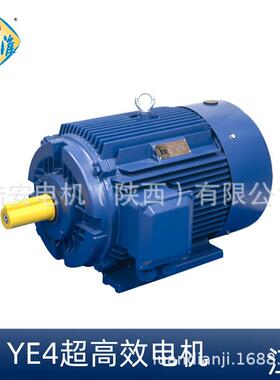 卧二龙三相交流异步电机Y4E4WE能效电动机OQH风机级配套水泵电机