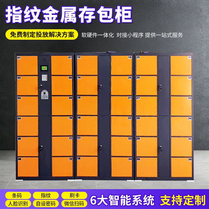 厂家指纹寄存柜超市商场12/24门智能电子存包柜指纹刷卡金属柜