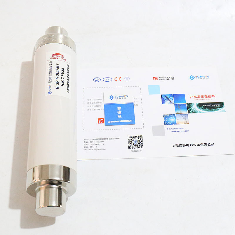 豫峥 限流熔断器高分断保险丝XRNT10-12KV高压50A63A80A100A125A