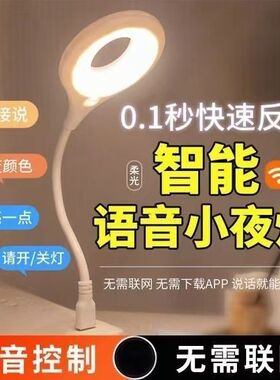 人工智能语音台灯控制灯USB声控灯感应灯led插口小夜灯一体床头灯