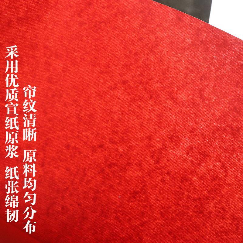 大红宣纸四生宣大尺红色纸刻纸双面红剪EJI色宣书画练习联对春联