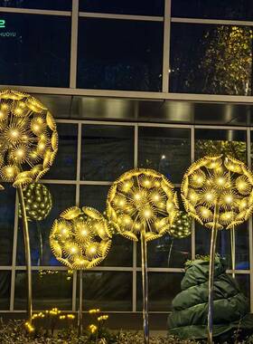 户外LED饰仿蒲公英坪地插灯公草真园景区园林庭院工程景观94091装