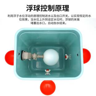 鸡用饮水桶家动禽自浮球饮水碗鸡挂鸭MPY鹅饮分配器水悬式家禽饮