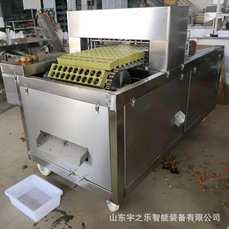 橄榄红枣机去脯核机余甘果核机器果去切片核核肉SGD分离机