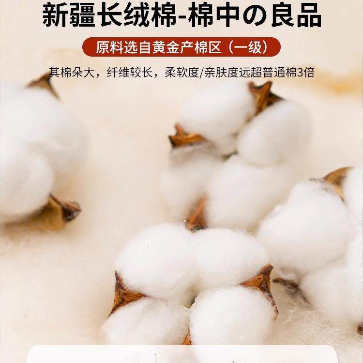 棉花床垫软垫家EES米用卧室18褥垫榻榻床米子海绵垫垫褥学生宿舍