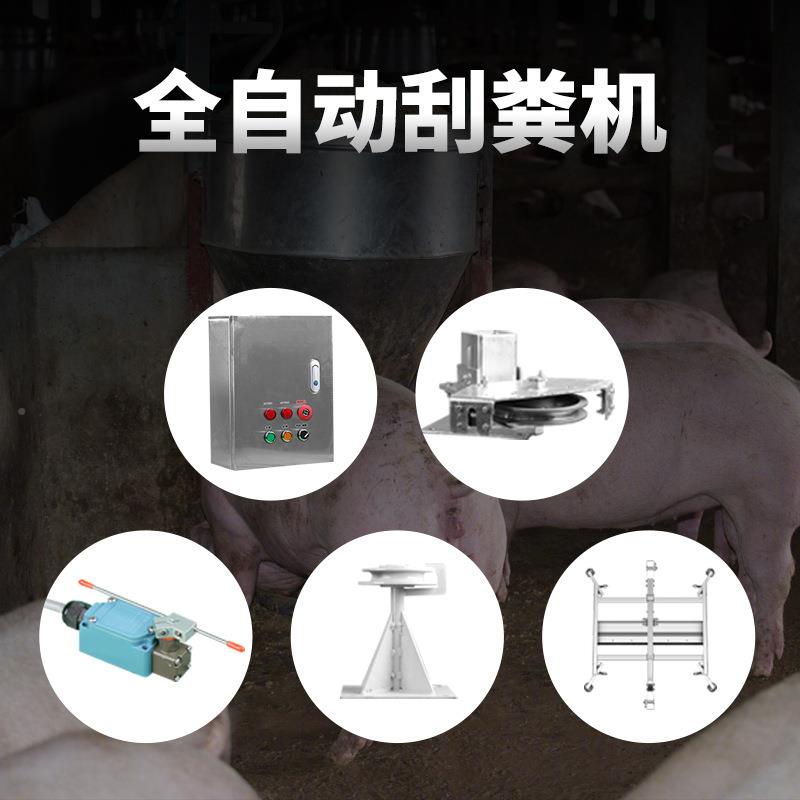 TYV全自动刮粪机自动化养殖设备禽畜便清清理粪机养猪场不钢锈粪