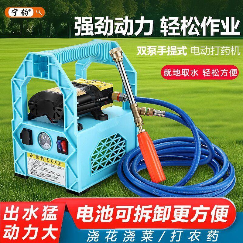 手提式电动喷雾器高压双