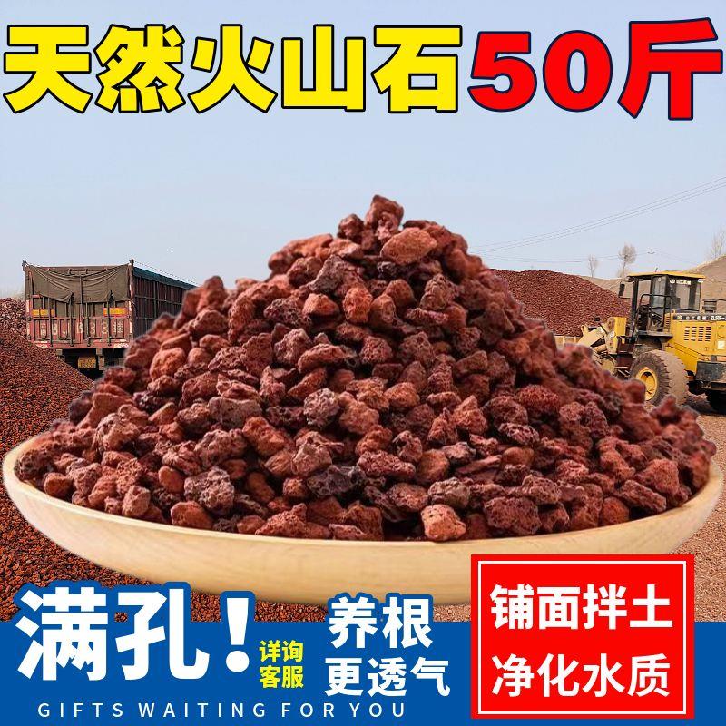 火山石颗粒岩多肉兰花盆