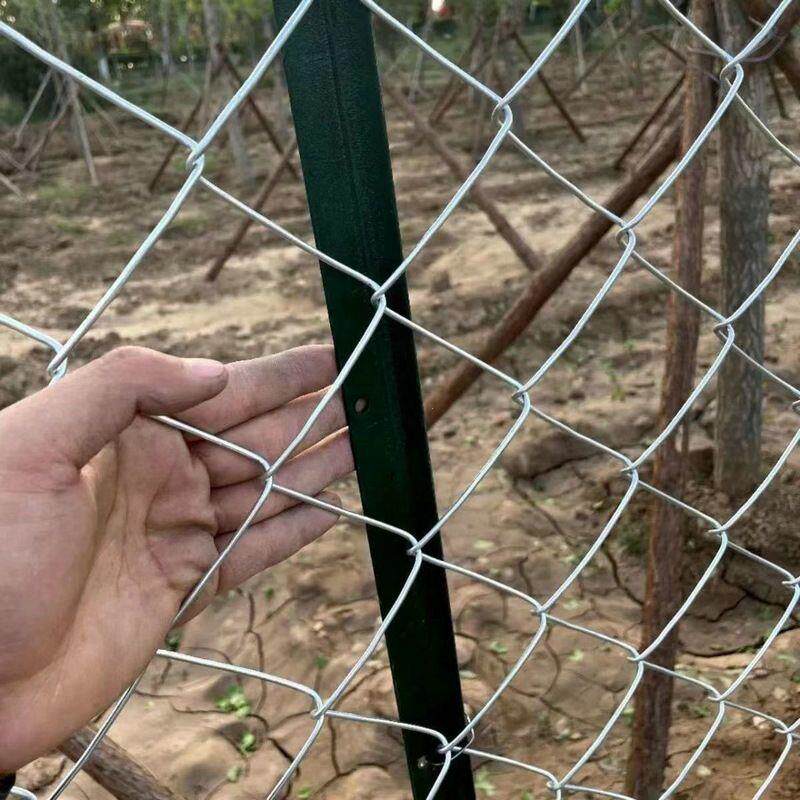 热镀锌钢丝围栏网养鹿勾花网养狗钢丝网加粗牛羊护栏网鱼塘防护网