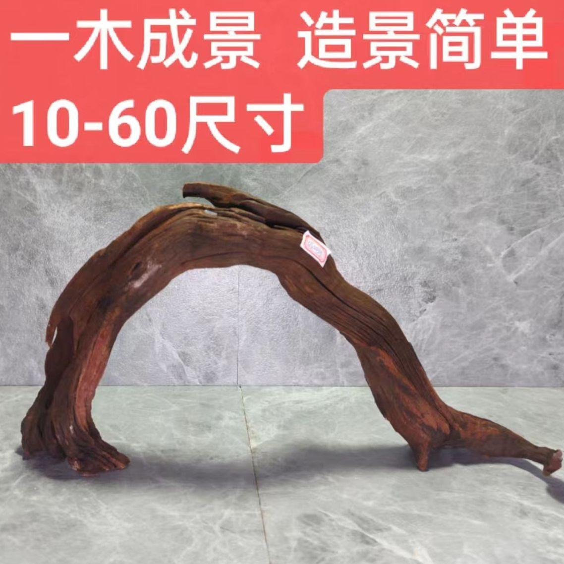 免煮沉木紫柚木鱼缸造景