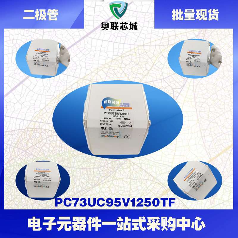 PC73UD10C1000TF V300513 PC73UD95V11CTF W300514法国罗兰熔断器