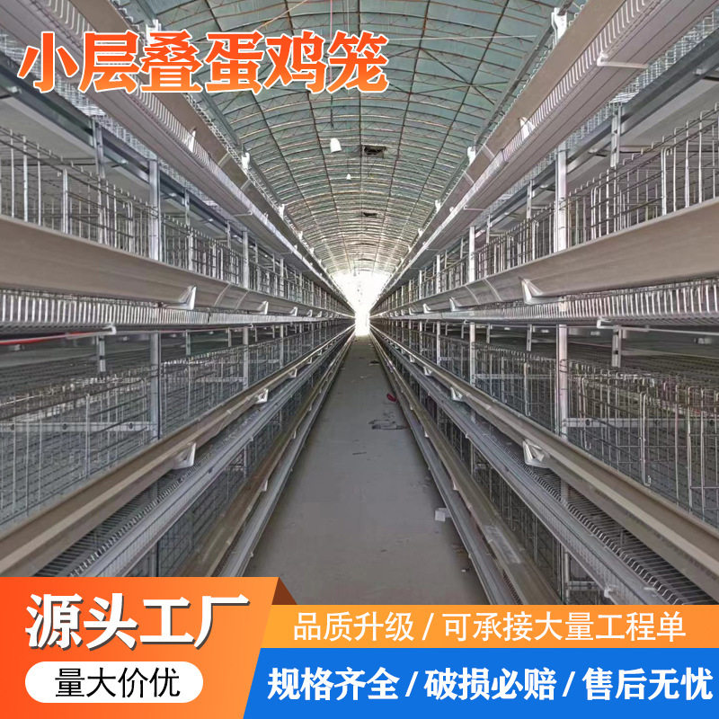 小层叠蛋鸡笼全自动化笼子热镀锌自动化清粪捡蛋喂料鸡场养殖设备