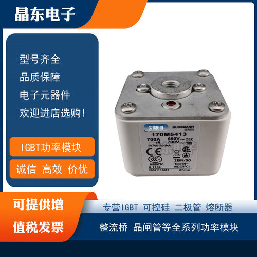 170M6563 170M6564 170M6565 170M6566 170M6567全新原装熔断器