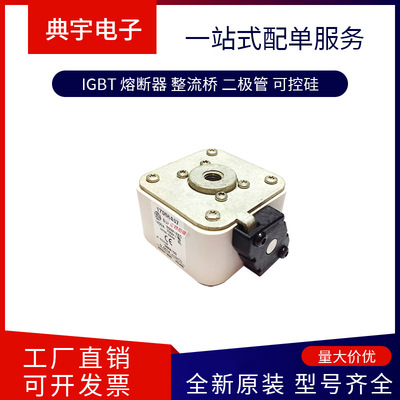 熔断器170M6463  6464  6465  6466   6467  6468  6469型号齐全