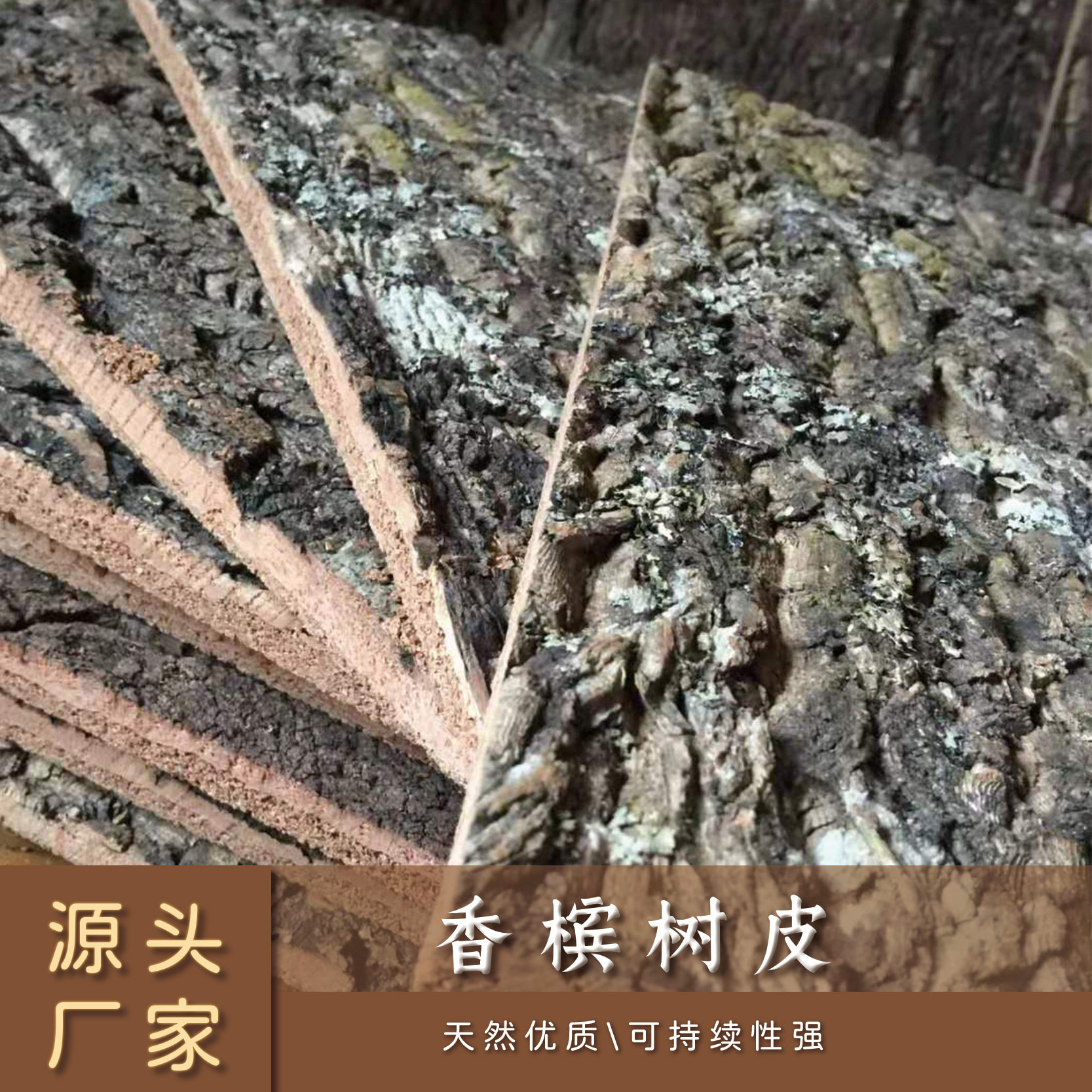 香槟树皮软木树皮绿植墙装饰树皮爬宠鱼缸造景(有聚合颗粒)
