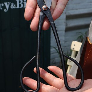 盆景修剪造型专用工具大号球节剪球节钳叶芽剪盆景修剪剪刀修剪钳