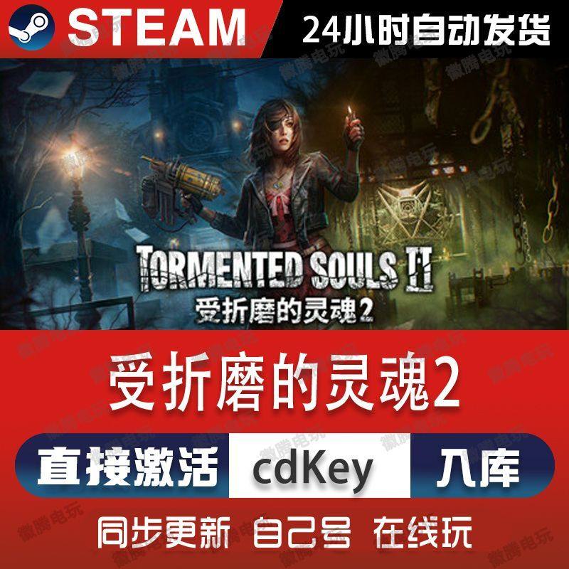 受折磨的灵魂2 steam游戏cdkey激活码单机电脑游戏全球区入库玩pc