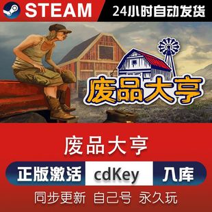 steam废品大亨激活码CDKey在线电脑单机游戏兑换码入库