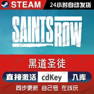 黑道圣徒steam游戏cdkey激活码单机电脑游戏全球区兑换码入库玩pc