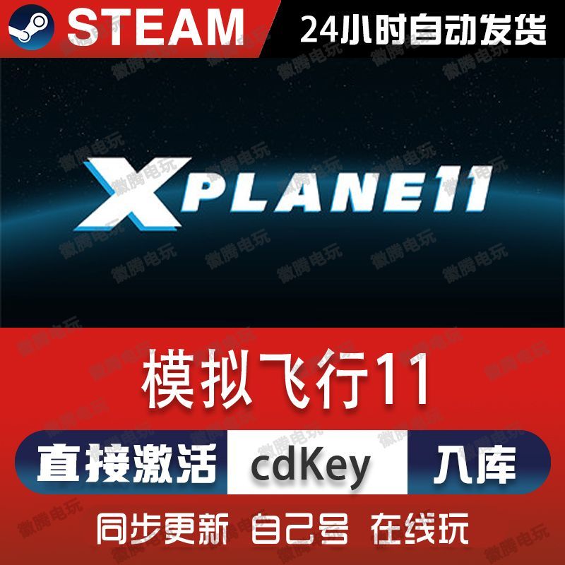 模拟飞行11steam游戏cdkey激活码单机电脑游戏全球区兑换码入库pc