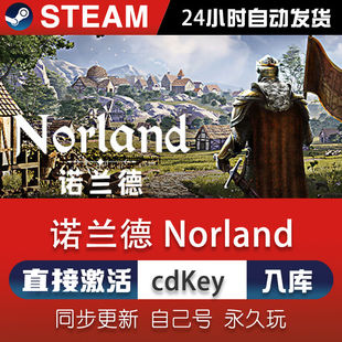 steam激活碼 CDKey在線PC單機游戲永久入庫全球區(qū) Norland 諾蘭德