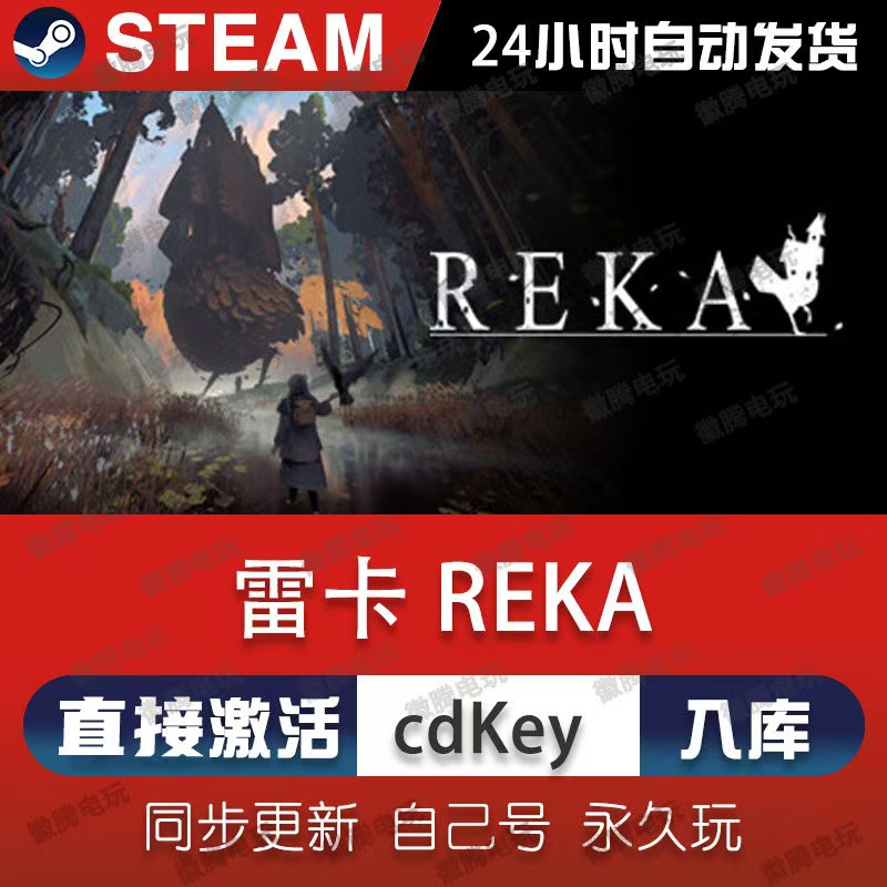 雷卡REKA Steam离线正版单机电脑游戏可激活入库 简体中文 PC