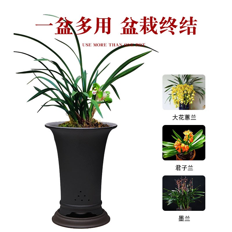 兰花花盆宜兴陶瓷透气兰草专用盆客厅室内带底座桌面精品紫砂花盆