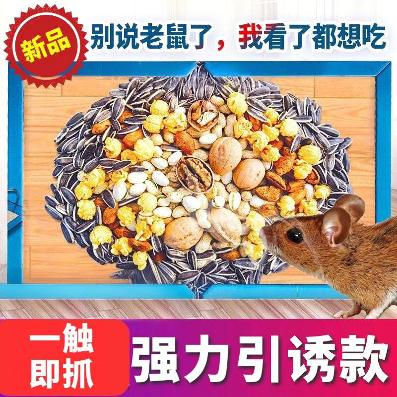 双引诱达豪糖炒板栗味强力粘鼠板