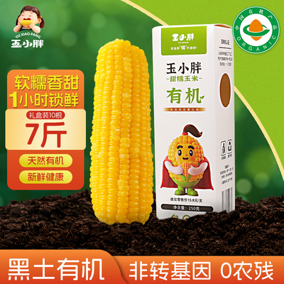 玉小胖有机甜糯玉米东北真空礼盒