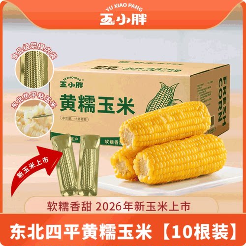 玉小胖东北黄糯玉米常温储存