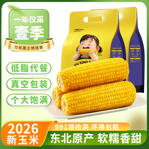 玉小胖东北黄糯玉米8根大棒300g