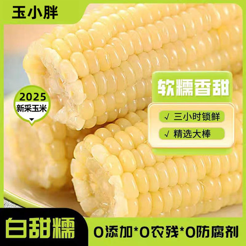玉小胖东北甜糯玉米白糯8根