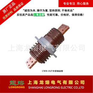 源头厂家 200A 600A系列穿墙套管 质量可靠 400A CWB