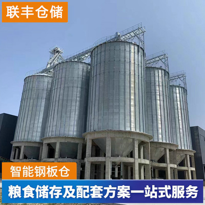 大型小麦玉米筒仓联丰装配式波纹钢板仓加厚材质