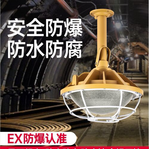 LED隔爆防爆工矿投光灯