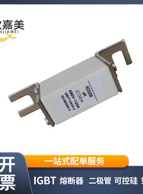 MRO茗熔光伏熔断器RGS30B aR 690V/125A 100A160A20A25A30A现货