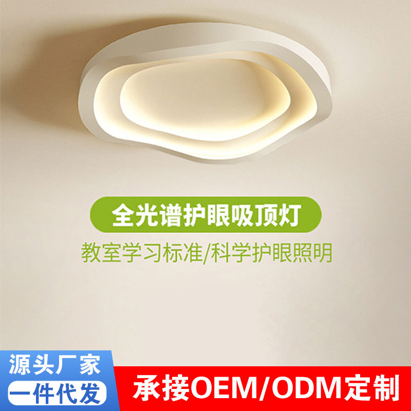 北欧极简创意个性LED吸顶灯