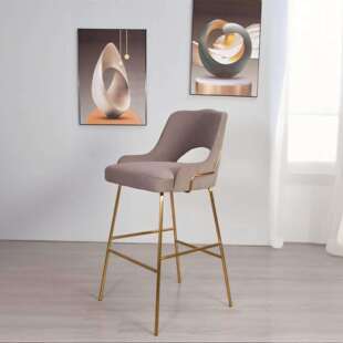 轻奢家用吧台椅高脚凳酒吧椅前台椅子靠背吧椅高吧凳高端不锈钢椅